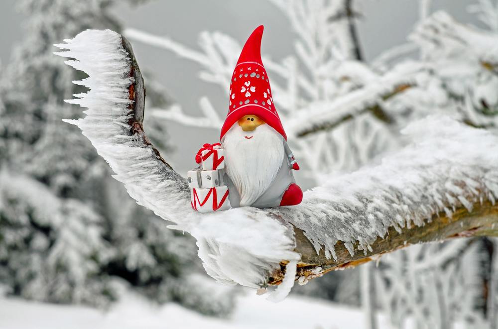 winter elf on a tree